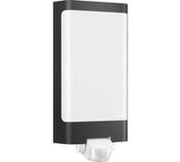 Steinel L 240 056506 Applique LED extérieure avec détecteur de mouvement 7.5 W blanc chaud anthracite Anthracite G