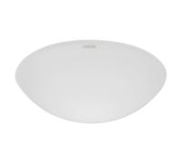 Steinel Verre de rechange EG RS 16 L/RS LED A1 - Accessoire pour luminaires 4007841001780