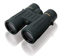 STEINER Jumelles de Chasse Observer 10x42 - Optique de qualité Allemande, Images Lumineuses et détaillées, grossissement élevé, Conception de Bord de Toit légère