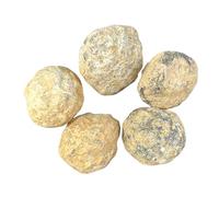 Steinfixx Kit de géodes de taille balle de tennis I 5 grandes géodes I 6-7 cm chacune et un total de 1000-1250 g à briser soi-même - Avec instructions et explications I Maroc
