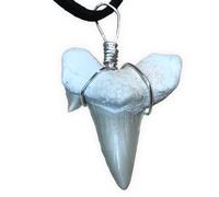 Steinfixx® Pendentif à dents de requin fossilisé exclusif - Fossiles - Qualité supérieure - Non traité - Pierre brute