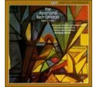 Steintor Barock Bremen - The Apocryphal Bach Cantatas, Vol 1 (BWV 217-222) /Alsfelder Vokalensemble * Steintor Barock Bremen * Helbich by Steintor Barock Bremen (1995) Audio CD