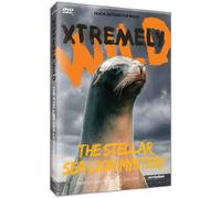 Stellar Sea Lion Mystery