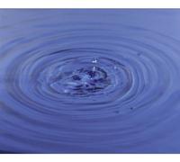 Tiges-test du nitrate