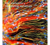Stem Cells - Harvesting Ourselves