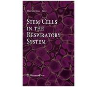 Stem Cells In The Respiratory System
