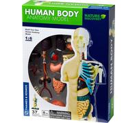 STEM-Kit Anatomie du corps humain