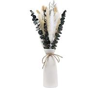 Steowsey 25pcs Fleurs Séchées Bouquet d'herbe de Pampa Fleurs Caspia Mélange Bouquet Arrangements pour Chambre Bohème Maison Chambre de Mariage