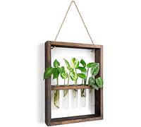 Steowsey Monté au Mur Plantes Suspendues Tube à Essai Bourgeon de Fleur Terrarium en Verre Cadre en Bois pour la DéCoration de Mariage de Jardin à