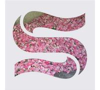 Step By Step Vinyle