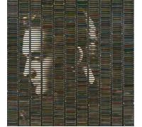 Stephan Eicher Poussière d'Or Album CD