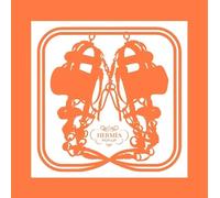 Stéphane Foenkinos Pierre-Alexis Dumas Bernard Duisit Hermès pop-up (Relié)