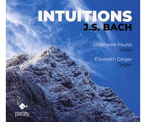 Stéphanie Paulet - Intuitions