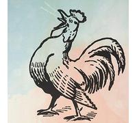 Stephen Evens - Bonjour Poulet