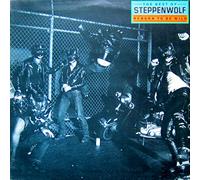 STEPPENWOLF - THE BEST OF STEPPENWOLF - REBORN TO BE WILD - VINYL