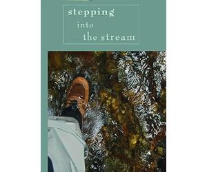 Stepping into the Stream