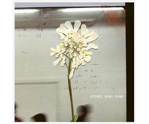 Stereo Mind Game (Recycled Coloured Vinyl) (Indies)-DAUGHTER