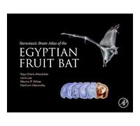 Stereotaxic Brain Atlas Of The Egyptian Fruit Bat