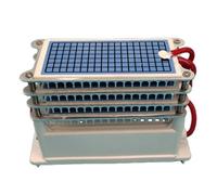 Stérilisation de l'air de plaque en céramique de module de générateur d'ozone 60g
