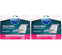Steripan 6 Tulles Special Brulures 5 x 5 cm N'Adhère Pas à Plaie Sachets Individuels (Lot de 2)