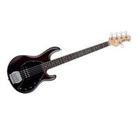 Stingray 5 Walnut Satin