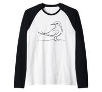 Sterne Linéaire Ornithologue Manche Raglan