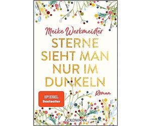 Sterne sieht man nur im Dunkeln: Roman