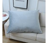 SterneMond Lot de 2 housses de coussin décoratives 40 x 60 cm - En velours peluche - Rectangulaire - Grand coussin lombaire - Pour canapé, chambre à coucher - Grand choix de couleurs - Bleu ciel