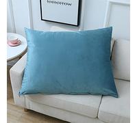 SterneMond Lot de 2 housses de coussin décoratives 60 x 80 cm - En velours peluche - Rectangulaire - Grand coussin lombaire - Pour canapé, chambre à coucher - Grand choix de couleurs - Bleu clair