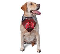 Stéthoscope du Thérapeute Respiratoire Bandanas Chien Lavable Écharpe pour Chiot Réglables Foulard Triangle pour Chiens Chat Animal De Compagnie