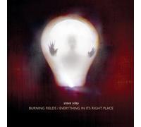 Steve Adey - Everything in It's Right Place [Import]