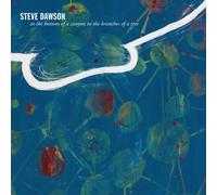 Steve Dawson - At The Bottom Of A Canyon In The Branches Of Tree [Cd]