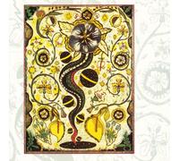 I Feel Alright - European Import | Occasion