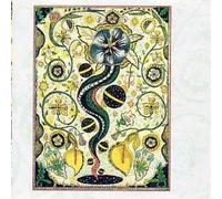 Steve Earle - I Feel Alright By Steve Earle (1996-03-08)