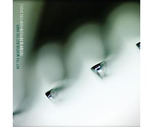 Steve Gogarth & Richard Barbieri Not the Weapon But the Hand (Vinyl) 12" Album