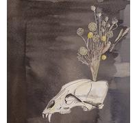 Steve Gunn & Black Twig - Seasonal Hire