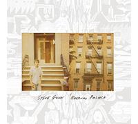 Steve Gunn - Boerum Palace (Blue Vinyl)