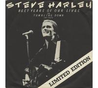 Steve Harley and Cockney Rebel - The best Years of our Lives