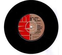 Steve Harley & Cockney Rebel - Mr. Raffles (Man, It Was Mean) 7 : Steve Harley & Cockney Rebel