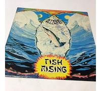 STEVE HILLAGE - FISH RISING LP (VINYL ALBUM) UK VIRGIN 1975