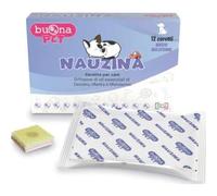 Steve Jones Nauzina 12 Plâtres