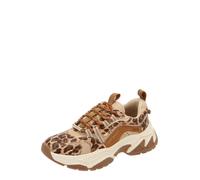STEVE MADDEN Baskets basses 'Animates-LE' marron / moka, Taille 41