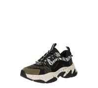 Steve Madden Baskets basses ANIMATES-L in Kaki 39