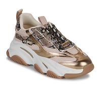 Baskets basses femmes Steve Madden POSSESSION Beige 39
