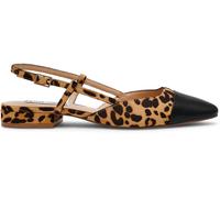 Steve Madden Belinda Flat Shoes Léopard 6 (39) Female