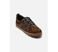 Steve Madden Degree-Stud pour 40 Marron