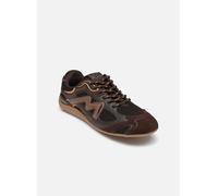Steve Madden Rally Time pour 39 Marron