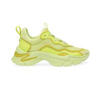 Steve Madden - Scarpe Stringate Profilo Basso - Femme - Chaussures - Vert - Taille: 41 EU