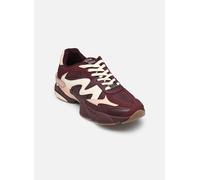 Steve Madden Speeder pour 40 Bordeaux