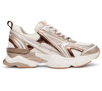 Steve Madden Speedster-e Trainers Gris EU 39 Femme